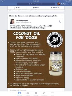 an ad for coconut oil is shown on the facebook page, and it appears to be in