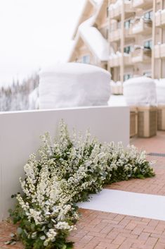 some white flowers are sitting on the ground near a building with snow covered buildings in the background