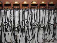 several rows of horse bridles lined up against a wall