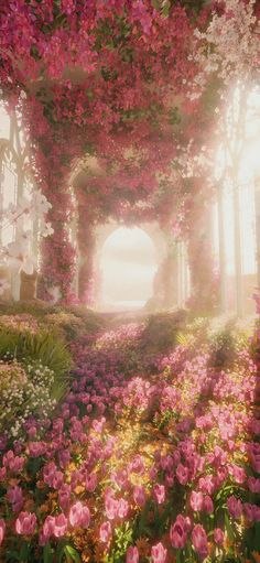 an image of a beautiful garden with pink flowers