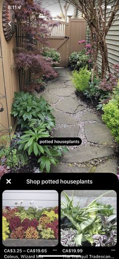 a garden with lots of flowers and plants in it, along with the words shop potted houseplants