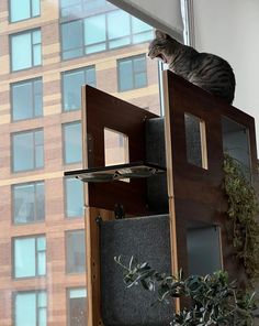 a cat sitting on top of a window sill