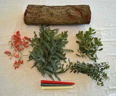 various plants and branches laid out on a white table cloth next to a piece of wood