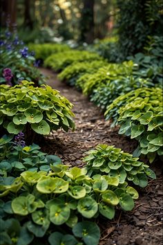 the path is lined with green plants and purple flowers