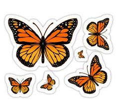 an orange butterfly sticker set with six different butterflies in the same color and size