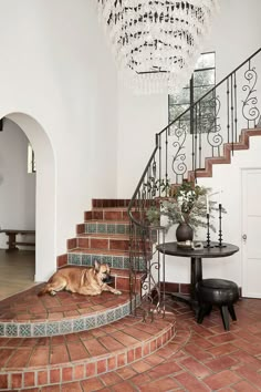 a dog is laying on the steps in front of a chandelier and table