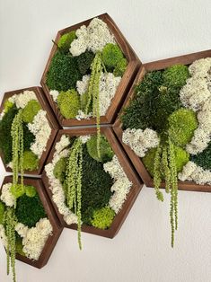 four wooden trays filled with green and white flowers on top of a wall next to each other