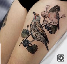 a bird sitting on top of a tree branch next to leaves and berries, with another bird in the background