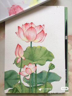 a watercolor painting of pink flowers and green leaves on a white paper with a marker