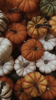 a pile of pumpkins and gourds sitting on top of each other in different colors