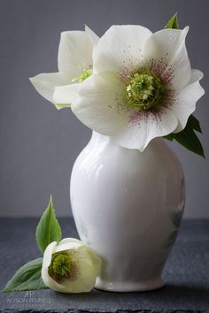 a white vase with two flowers in it