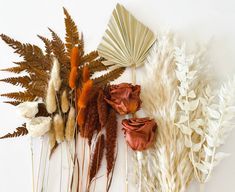 dried flowers and leaves are arranged on a white surface