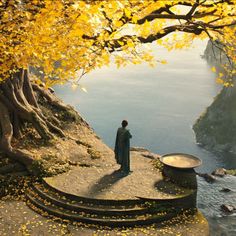 a man standing on top of a cliff next to a tree filled hillside with yellow leaves