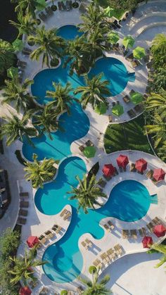 an aerial view of a resort pool with lounge chairs and palm trees