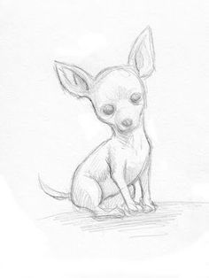 a drawing of a small dog sitting on the ground