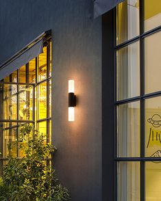 an outside view of a building with plants in the window