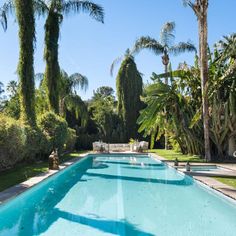 an empty pool surrounded by palm trees and lawn furniture in the middle of a garden