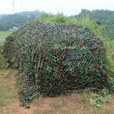 a large bush covered in lots of green leaves on top of a lush green field