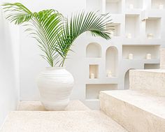 a potted plant sitting on top of a white table next to some stairs and shelves