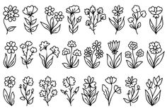 different types of flowers drawn in black and white