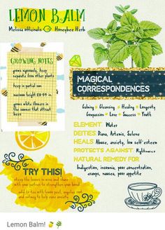 the lemon balm recipe is shown with its ingredients