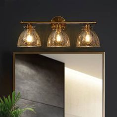 a bathroom vanity with three lights and a mirror on the wall next to a potted plant