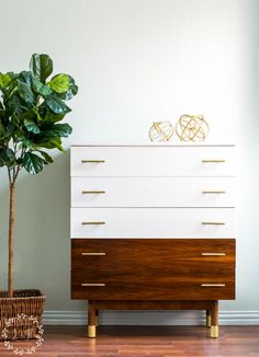 a white and brown dresser next to a potted plant on top of a hard wood floor