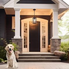 a dog sitting on the front steps of a house