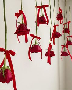 some red flowers hanging from a white wall