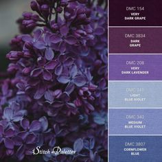 the color scheme for purple is shown in shades of blue, violet and lavenders