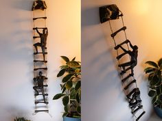 two pictures of people climbing up and down ladders on a wall next to a potted plant