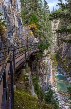 a wooden bridge over a river next to a lush green forest