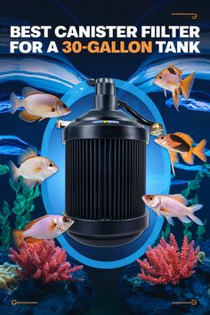 the best canister filter for a 30 gallon tank is shown in front of an aquarium