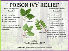 Poison Ivy Essential Oils, Poison Ivy Relief, Poison Ivy Remedies, Cypress Oil, Essential Oil Remedy, Oil Remedies, Essential Oils Health, Yl Essential Oils, Chamomile Oil