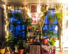 a living room filled with lots of plants