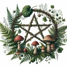 a pentagramil surrounded by mushrooms, ferns and other plants on a white background