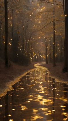 a river running through a forest filled with lots of trees covered in lights and fairy lights