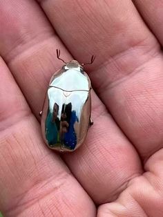 a close up of a person's hand holding a small bug with people reflected in it