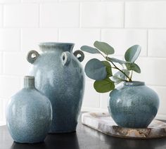 three blue vases sitting on top of a table next to each other with a plant in them