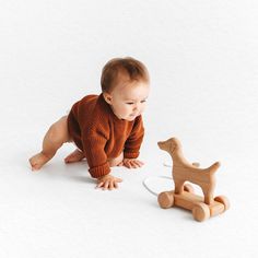 a baby playing with a wooden toy dog on the floor in front of white background