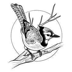 a black and white drawing of a bird on a tree branch with the sun in the background