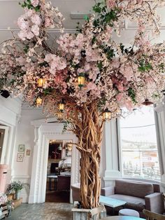 a tall tree with lots of pink flowers on it's branches in front of a window