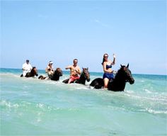 four people riding horses through the ocean on a sunny day with blue skies and clear water