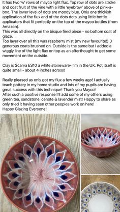 the instructions for how to make a ceramic bowl with flowers on it, including an image of