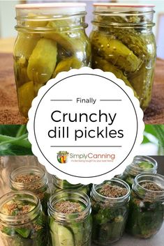 pickles and cucumbers in glass jars on a table with the words crunchy dill pickles