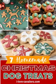 homemade christmas dog treats with text overlay that reads, 7 homemade christmas dog treats