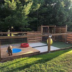 a dog in a fenced in area with a pool and play ground on the other side