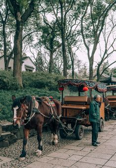 two horses pulling a cart with people in it on a cobblestone street next to trees