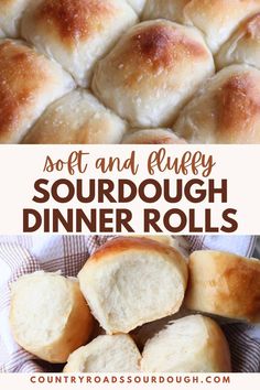 soft and fluffy sourdough dinner rolls are the perfect side dish for any meal