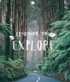 the road is surrounded by tall trees and greenery with words that read, i'm memory to explore